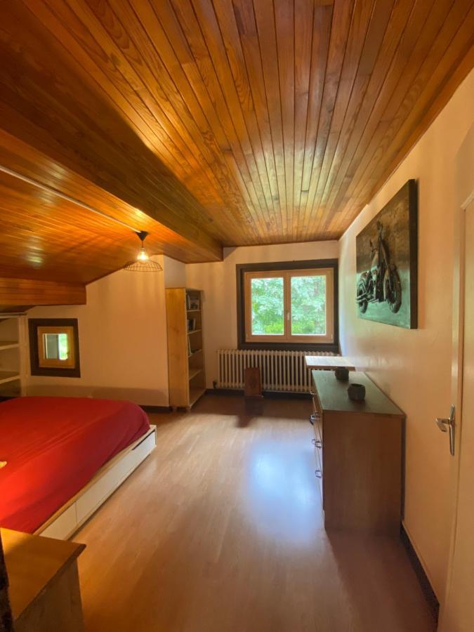 Logement Mansarde Dans Maison Avec Jardin En Bord De Piste, Vue Montagne ليز أوش المظهر الخارجي الصورة