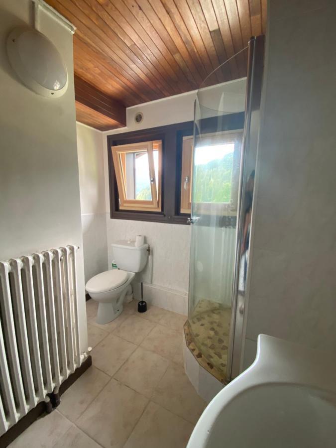 Logement Mansarde Dans Maison Avec Jardin En Bord De Piste, Vue Montagne ليز أوش المظهر الخارجي الصورة